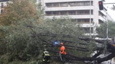 Ciarán deja en España una mujer muerta y numerosos daños causados por el viento