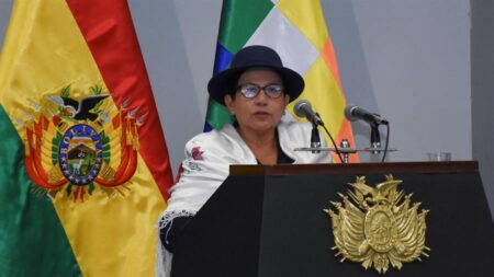 Una exdirigente campesina y exminista de Evo Morales es la nueva canciller de Bolivia