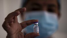 COFEPRIS pospone la aprobación para comercializar vacunas contra el COVID