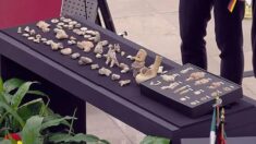 Alemania restituye a México 75 piezas arqueológicas de la cultura huasteca
