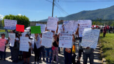 Indígenas choles de Chiapas marchan en Tila para pedir alto a la violencia