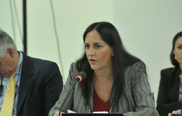 Foto de archivo de Lía Limón durante una audiencia de la Comisión Interamericana de Derechos Humanos, el 1 de noviembre de 2013.  (Chrisjar20000701 / Attribution 2.0 Generic)