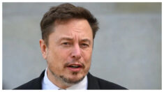 Elon Musk dice que la administración de Biden “ayuda activamente a la inmigración ilegal”