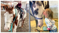 “Los caballos la sienten”: Conozca a la niña de 2 años que puede montar caballos adultos
