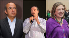 Fox, Calderón y la precandidata presidencial Gálvez felicitan a Milei, mandatario electo de Argentina