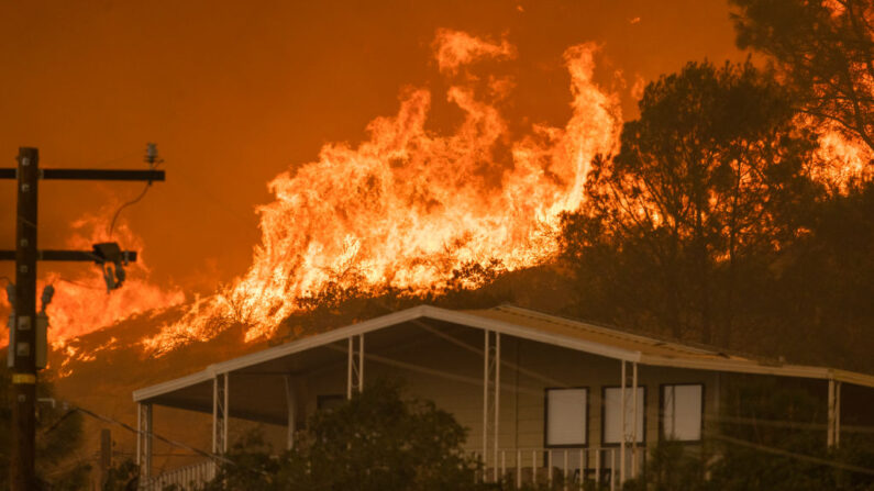 El incendio French se acerca a las casas en Wofford Heights, California, el 24 de agosto de 2021. (David McNew/Getty Images)