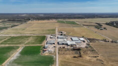 EN DETALLE: Texas tiene el mayor aumento de tierras agrícolas de propiedad extranjera, según informa USDA
