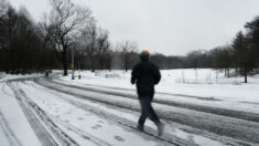 Organismo de control advierte de la probabilidad de apagones en todo el país este invierno