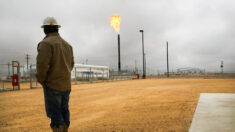 La mayoría de los votantes de Texas apoyan una medida para un mayor desarrollo de los combustibles fósiles