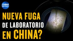 ¿Nueva fuga de laboratorio en China? Varios estudiantes enferman de cáncer y lo ocultan