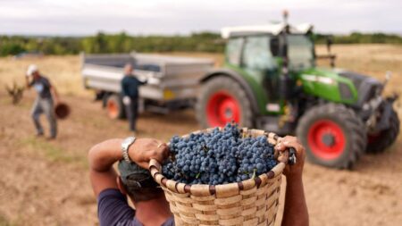 Agricultores exigen la retirada de la Ley de Restauración de la Naturaleza