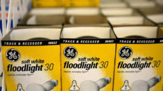 La prohibición de las bombillas incandescentes provoca un aumento de la demanda