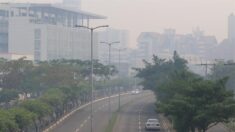 Los incendios forestales en Bolivia afectan la calidad del aire en la ciudad de Santa Cruz