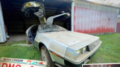“Máquina del tiempo”: Hallan un DeLorean del 81 con llantas genuinas y menos de 1000 millas en un granero