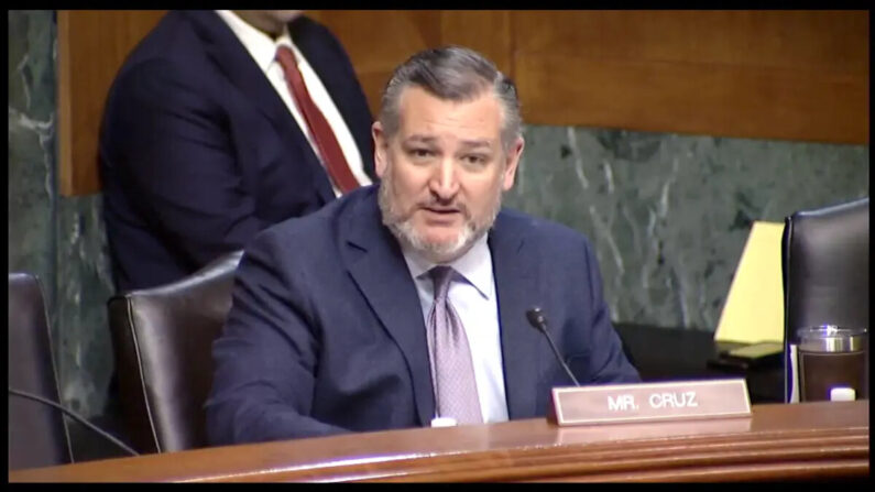 El senador Ted Cruz (R-Texas) habla en una audiencia en el Senado, el 1 de noviembre de 2023. (Comité Judicial del Senado/Screenshot vía NTD)