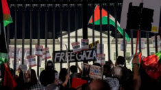 Manifestantes a favor de los palestinos destrozan la puerta de la Casa Blanca y sacuden las vallas