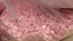 Massachusetts incauta píldoras mortales que parecen caramelos entre otros 10 millones de dosis de drogas
