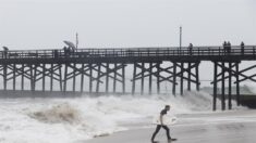 Costas de California bajo advertencia por fuerte oleaje en fin de semana de año nuevo