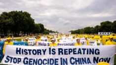 En el Día de los DD. HH., los médicos denuncian la sustracción forzada de órganos en China