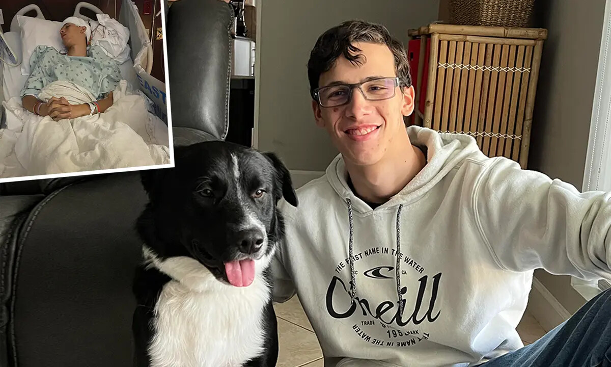 "Dios intervino en todo": Un perro salva a un niño de un derrame cerebral inesperado alertando a los padres