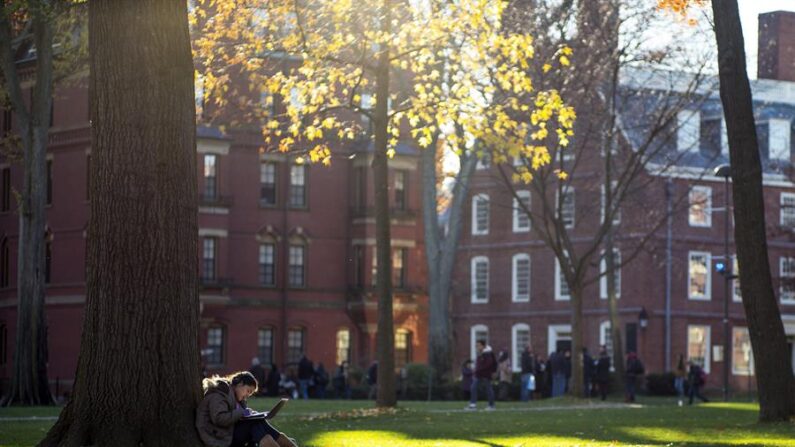 Una estudiante lee bajo un árbol en una tarde soleada en el campus de la universidad de Harvard, en una fotografía de archivo. EFE/Cj Gunther