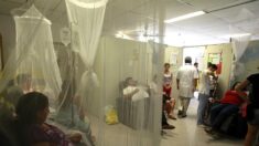 Paraguay emite alerta epidemiológica por dengue tras 1605 casos en las últimas 3 semanas