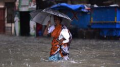 Al menos 8 muertos antes de la llegada inminente del ciclón Michaung en el este de India