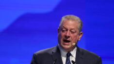 Al Gore es criticado por sus comentarios sobre la “locura artificial”