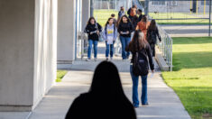 Clases segregadas para estudiantes hispanos “impiden que alcancen su máximo potencial”, dice experto