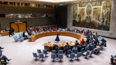 Consejo de Seguridad de la ONU pospone de nuevo la votación sobre Gaza