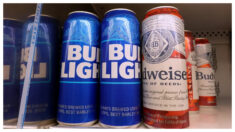 Ventas de cerveza caen a su nivel más bajo en más de 20 años tras la polémica de Bud Light