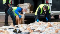 España se incauta de 500 kilos de cocaína en un contenedor procedente de Panamá