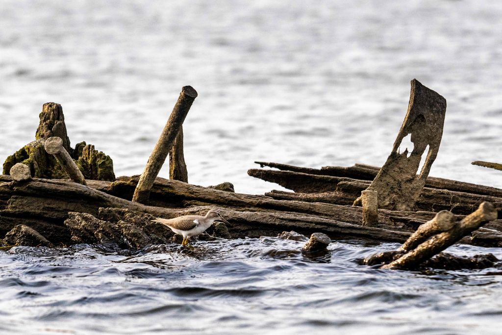 Al menos 23 muertos en el naufragio de un barco en la RD del Congo