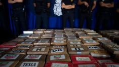 Policía española decomisa 57 kilos de cocaína entre piñas procedentes de Ecuador