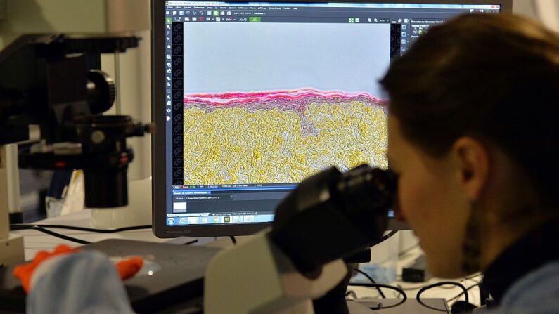 Un ingeniero de laboratorio controla durante la muestra de células bajo un microscopio en el laboratorio de la empresa de biotecnología Poietis en Pessac, suroeste de Francia, el 22 de enero de 2016. (Georges Gobet/AFP vía Getty Images)