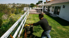 Prohibición de equipos de jardinería a gas impactará empleos y costos en California, dice empresario latino