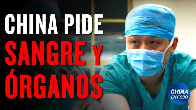 ¿Qué pasa en el interior de China para que las autoridades pidan sangre y órganos a la población?