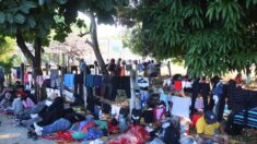 Cerca de 2000 migrantes abandonan caravana y avanzan solos en Chiapas