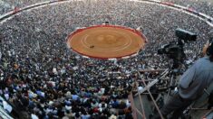 SCJN revoca suspensión que prohibía corridas de toros en la Monumental Plaza México