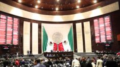 Diputados aprueban aumento de permisos por paternidad a 20 días