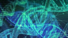 Aprueban en EE.UU. la primera terapia de edición genética con CRISPR de la historia