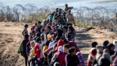 EE.UU. detuvo a 242,000 migrantes en la frontera sur en noviembre