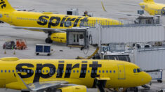 Spirit Airlines se disculpa tras subir a niño de 6 años no acompañado a vuelo equivocado