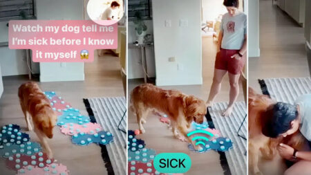 VÍDEO: Un perro avisa a su dueña que está enferma antes de que empiecen los síntomas, usa sonidos verbales