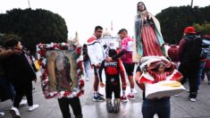 Dos peregrinos murieron y 15 resultaron heridos tras ser embestidos en autopista hacia Puebla