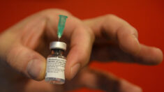COFEPRIS aprueba la comercialización de las vacunas anticovid de Pfizer y Moderna