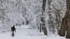 La tormenta invernal en EE.UU. deja al menos 3 muertos y cortes de electricidad