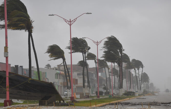 Fotografía de archivo de fuertes vientos en el estado de Veracruz, México. (EFE/ Ángel Hernández)