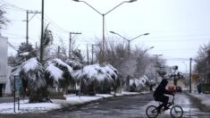 Por avance de frente frío 27 México espera heladas en 10 entidades y caída de nieve