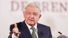 López Obrador propondrá prohibición del maltrato animal en la Constitución de México